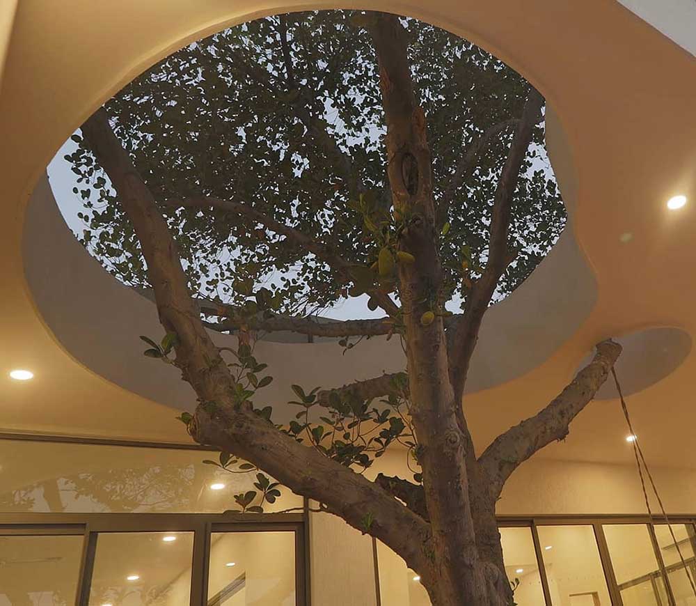 Modern Villa Architecture